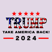 Donald Trump 2024 Take America Back Election Classic Tee | Teevron