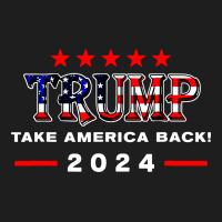 Donald Trump 2024 Take America Back Election Classic Tee | Teevron