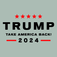 Donald Trump 2024 Take America Classic Tee | Teevron