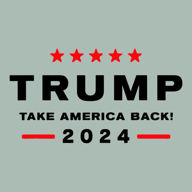 Donald Trump 2024 Take America Classic Tee by artisFamous | Teevron