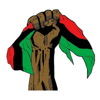 Black Power African License Classic Tee | Teevron