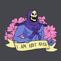 Vintage Skeletor ı Am Not Nice Classic Tee | Teevron