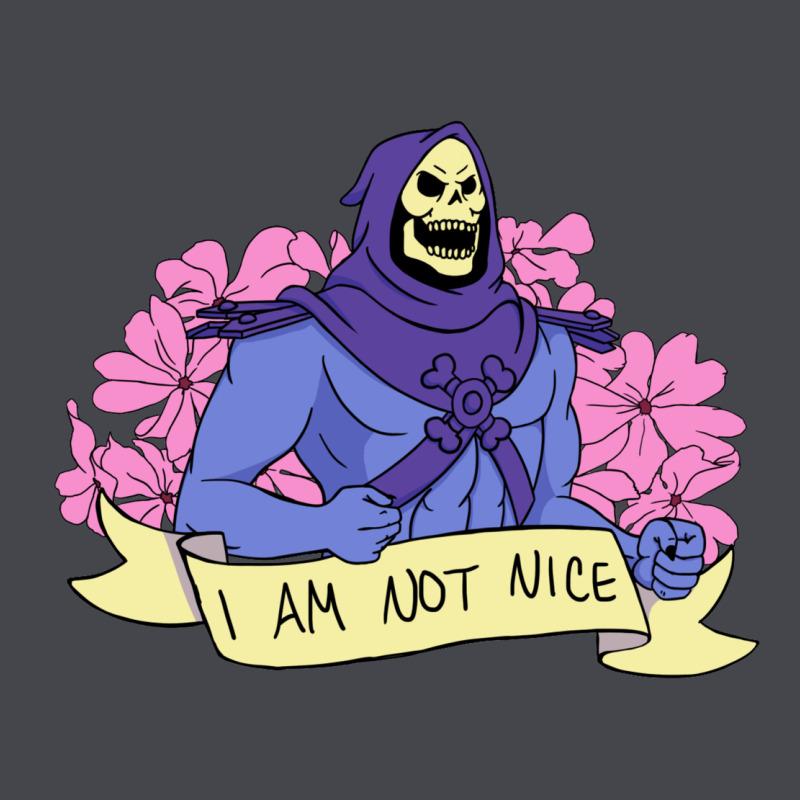 Vintage Skeletor ı Am Not Nice Classic Tee by artisFamous | Teevron