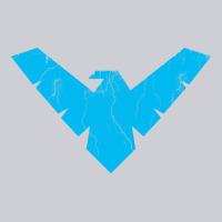 Nightwing Classic Tee | Teevron
