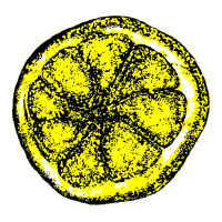the stone roses | Teevron