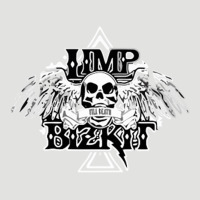Limp Bizkit Essential Classic Tee | Teevron