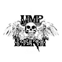 Limp Bizkit Essential | Teevron
