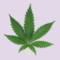 Weed Leaf Classic Tee | Teevron