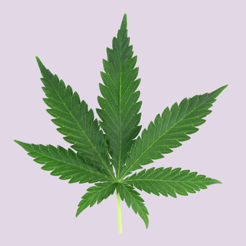 Weed Leaf Classic Tee by artisFamous | Teevron