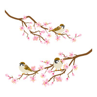 cherry blossom sakura with bird | Teevron