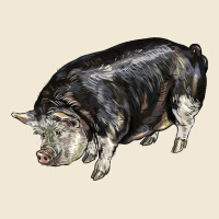 Poland China Pig Premium Tee | Teevron
