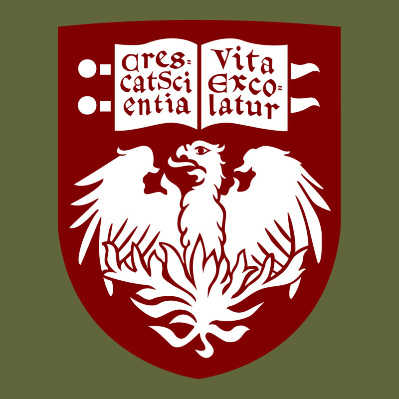 College Of Chicago Classic Tee by artisFamous | Teevron
