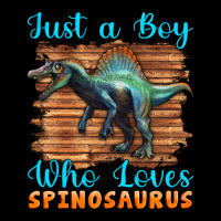 Just A Boy Who Loves Baby Spinosaurus Ladies Tee | Teevron