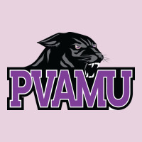Prairie View A&m Panthers And Lady Panthers Classic Tee | Teevron