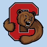 Cornell Big Red Classic Tee | Teevron