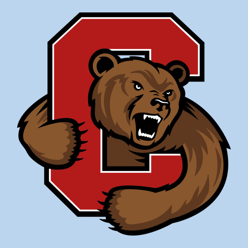Cornell Big Red Classic Tee by artisFamous | Teevron
