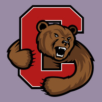 Cornell Big Red Classic Tee | Teevron