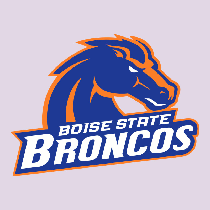 Boise Design Classic Tee by artisFamous | Teevron