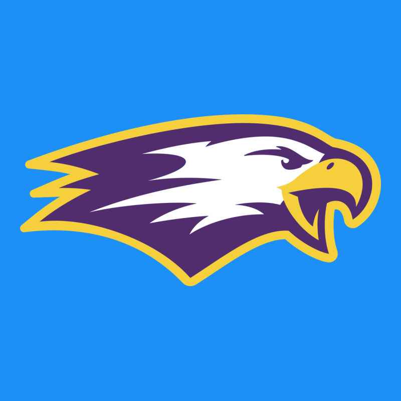 Elmira College Classic Tee by artisFamous | Teevron