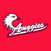 Augsburg University Classic Tee | Teevron