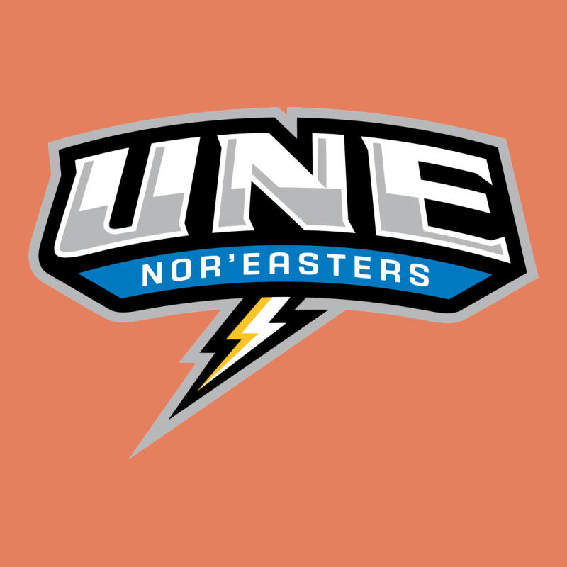 New England University Classic Tee by artisFamous | Teevron