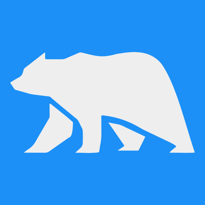 Bear Classic Tee by DesigneFamous | Teevron