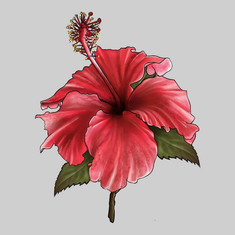 Puerto Rican Hibiscus Flower Illustrations Premium Tee by LillyAllenDesigns | Teevron