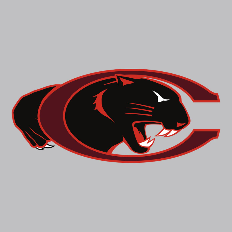 Claflin, Education Sport Classic Tee by linhVisuals | Teevron