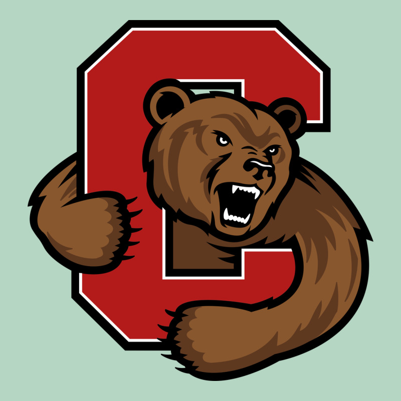 The Cornell Big Red Classic Tee by linhVisuals | Teevron