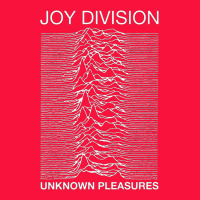 Joy Division Classic Tee | Teevron