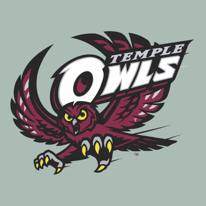 Temple Owls Classic Tee by linhVisuals | Teevron