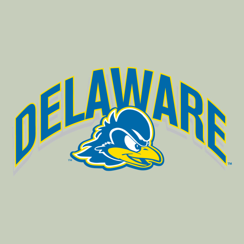 Delaware Sportss Classic Tee by linhVisuals | Teevron