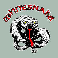 Whitesnake Ws Classic Tee | Teevron