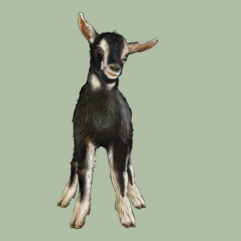 Hand Drawn Baby Alpine Goat Urban Heavy Tee by LillyAllenDesigns | Teevron
