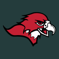 Benedictine, Mesa, College Classic Tee | Teevron