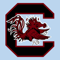 The Gamecocks Athletics Classic Tee | Teevron