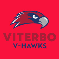 V-h4wks, Viterbo, Education Classic Tee | Teevron
