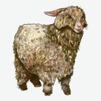 Angora Goat Urban Heavy Tee | Teevron