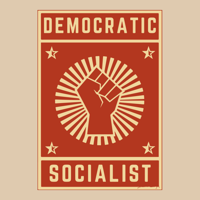 Democratic Socialist Classic Tee by linhVisuals | Teevron