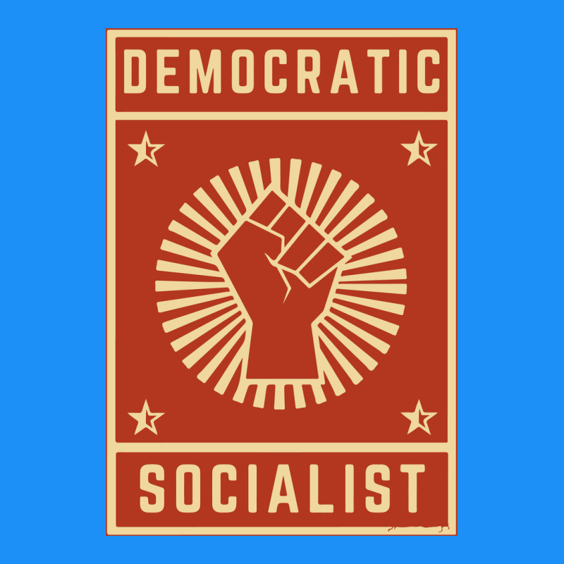 Democratic Socialist Classic Tee by linhVisuals | Teevron
