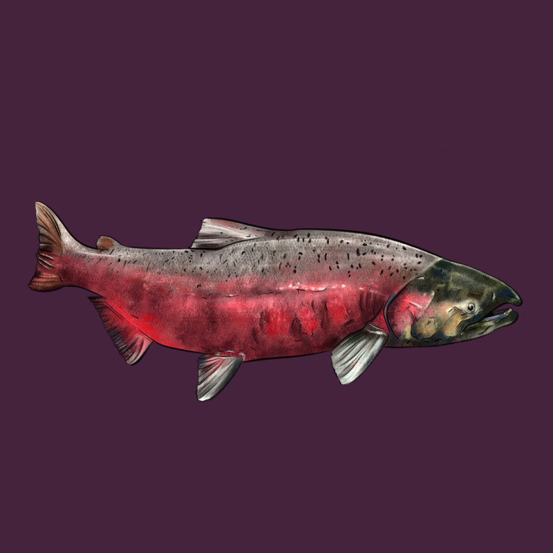 Chinook Salmon Fish Illustrations Premium Tee by LillyAllenDesigns | Teevron