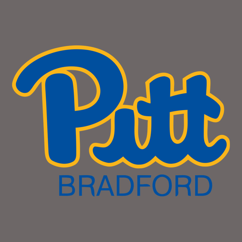 Pitt Bradford, University Of Pittsburgh At Bradford, Classic Tee by linhVisuals | Teevron