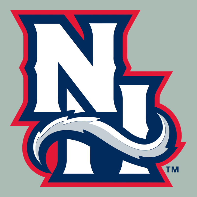 New Hampshire Fisher Cats Classic Tee by linhVisuals | Teevron