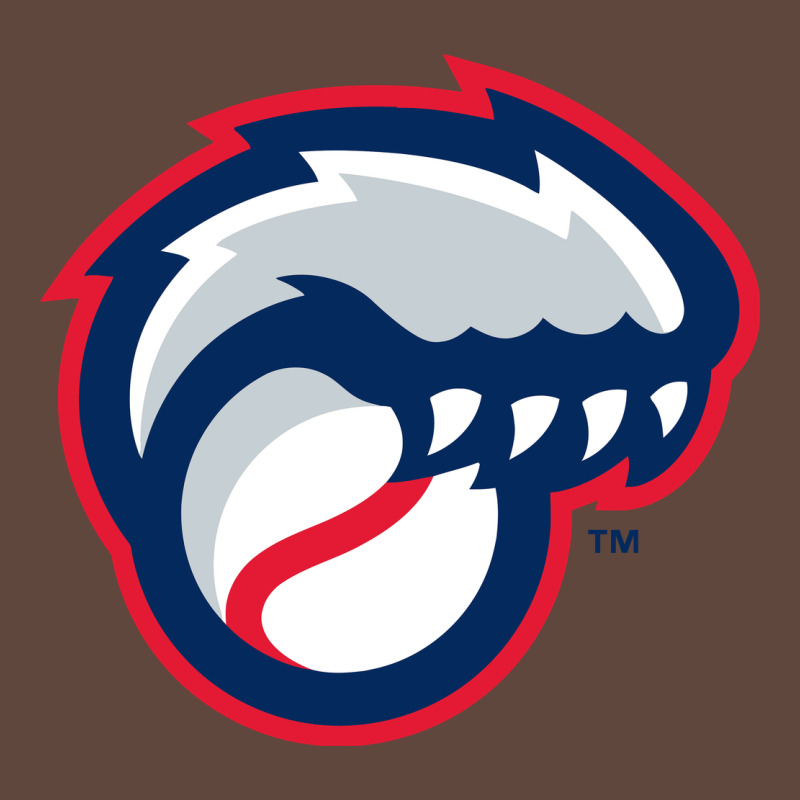 New Hampshire Fisher Cats Classic Tee by linhVisuals | Teevron