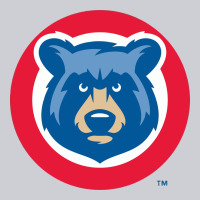 Tennessee Smokies Classic Tee | Teevron