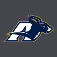 Akron University Zips Classic Tee | Teevron
