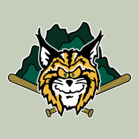 Lynchburg Hillcats Baseball Classic Tee | Teevron