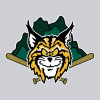 Lynchburg Hillcats Baseball Classic Tee | Teevron