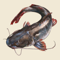 Catfish Illustrations Premium Tee | Teevron