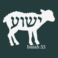 Isaiah 53 Lamb Yeshua Jesus T Shirt Classic Tee | Teevron